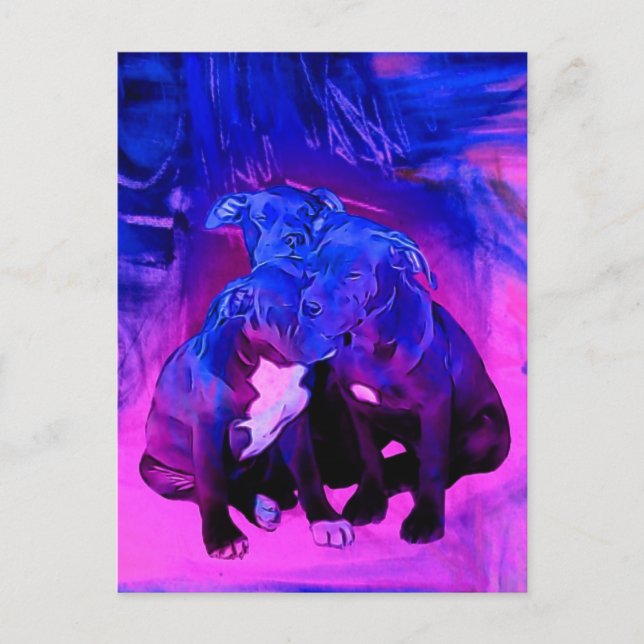 Trohopp & välgörenhet, missbrukade groptjurhundar vykort (Framsida)