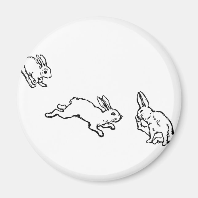 TROIS LAPINS MAGNET (Framsidan)