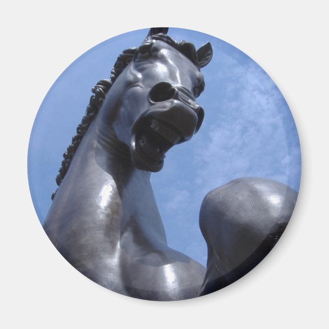 Trojan Horse Magnet (Framsidan)