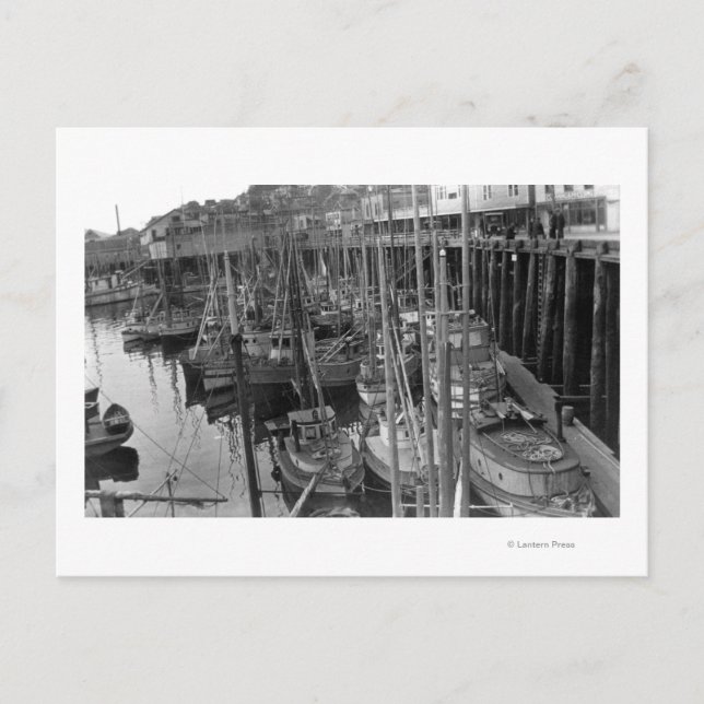 Troll Fleet på Ketchikan, Alaska Photograph Vykort (Framsida)