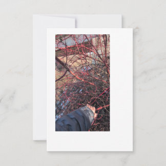 Troll Geocache-kort Inbjudningar