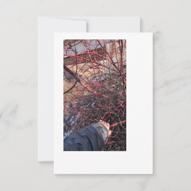 Troll Geocache-kort Inbjudningar (Framsida)