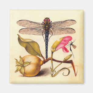 Trollslända Botanisk Natur Vilda Djur Magnet