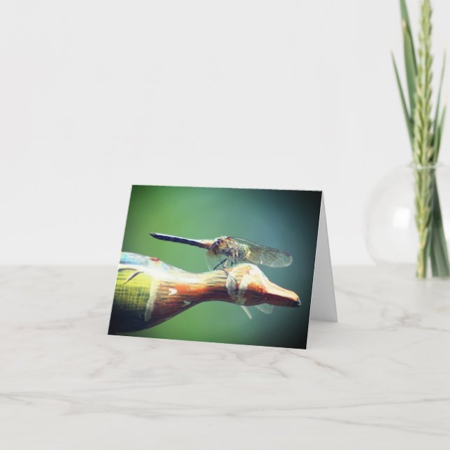 Trollslända Co Pilot Naturfotografi  Anteckningskort (Framsida)