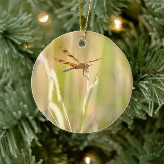 Trollslända Foto Ornament