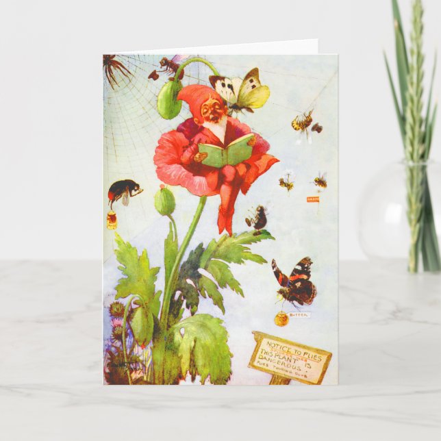 Trollsländor Poppis Kort (Framsida)