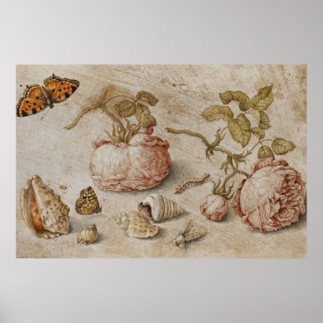 Trompe l'oeil still Life -Jan van Kessel the Elder Poster (Framsidan)
