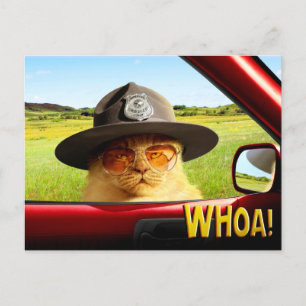Trooper Cat Inbjudan Vykort