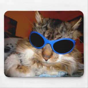 "Trooper kall Dude för katten"! Mousepad Musmatta