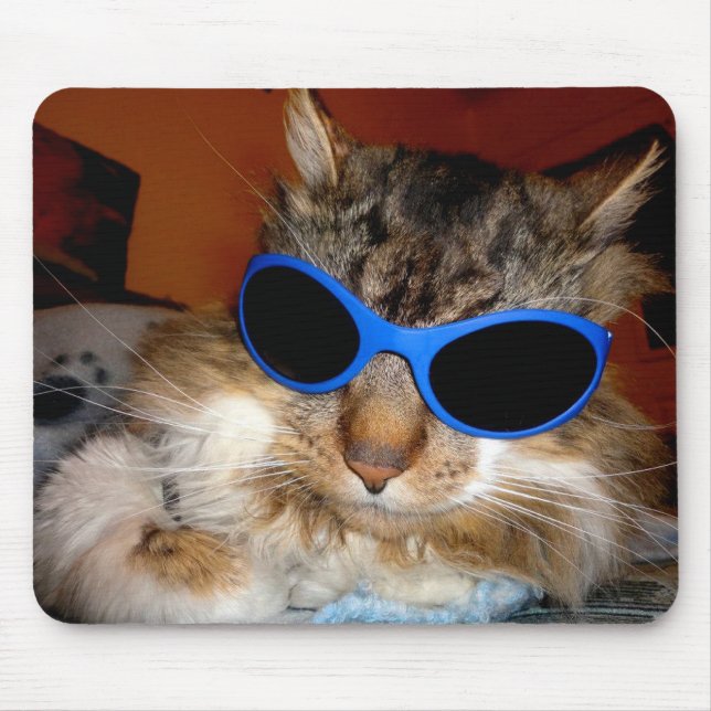 "Trooper kall Dude för katten"! Mousepad Musmatta (Framsidan)