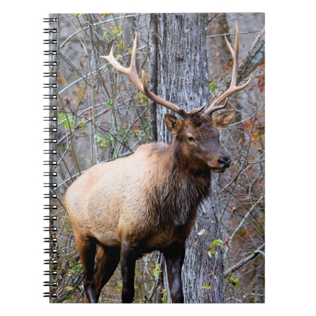 Trophy Elk Notebook Anteckningsbok (Framsidan)