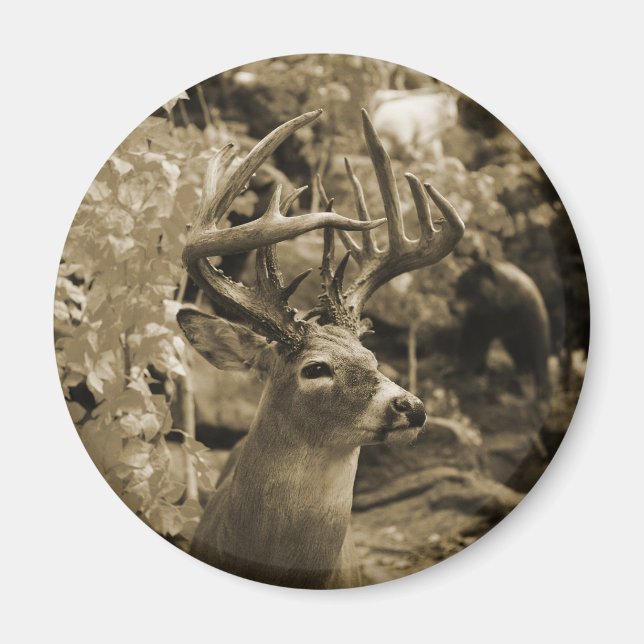 Trophy Hjort Magnet (Framsidan)