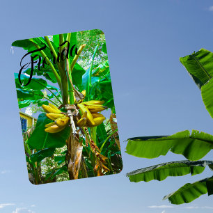 Tropical Banana Handflatan Träd St Augustine Flori Magnet