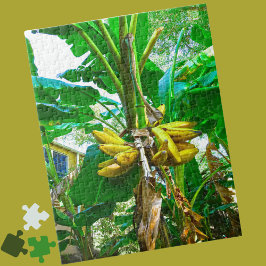 Tropical Banana Handflatan Träd St Augustine Flori Pussel