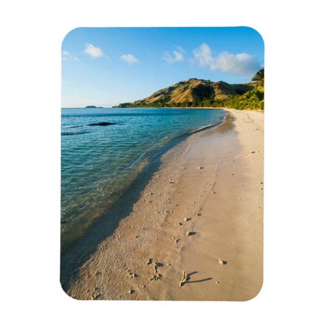 Tropical Beach Ligcape, Fiji Magnet (Vertikal)