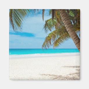 Tropical Beach Magnet