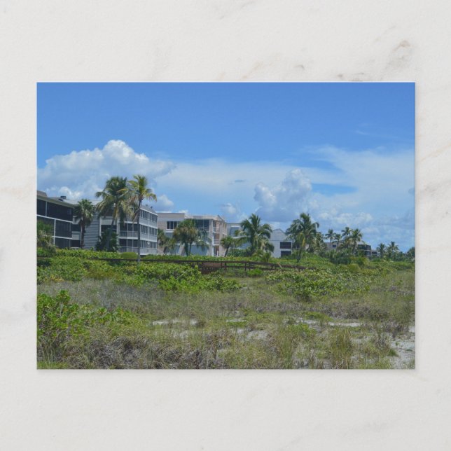 Tropical Beach Side Paradise Vykort (Framsida)