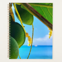 Tropical Beach Vibes Planner | Karibiskt inspirera