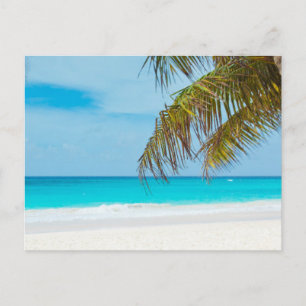 Tropical Beach Vykort