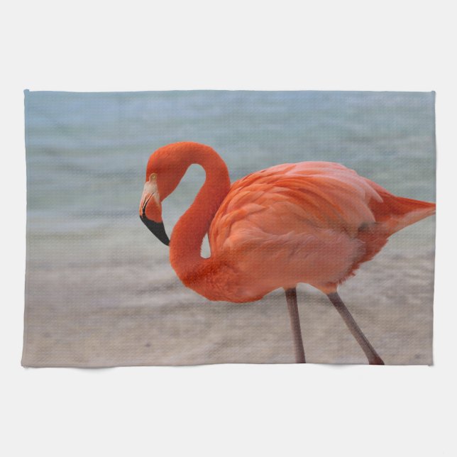 Tropical Beaches | Caribbean Flamingo, Aruba Kökshandduk (Horisontell)