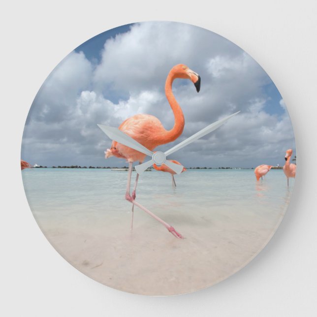 Tropical Beaches | Flamingos Beach, Aruba Stor Klocka (Framsida)