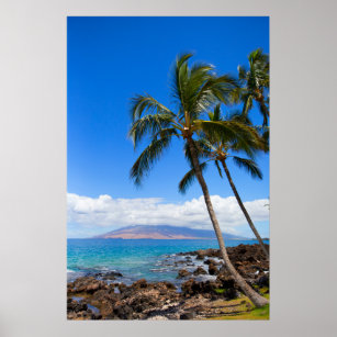Tropical Beaches   Maui Hawaii Island Poster