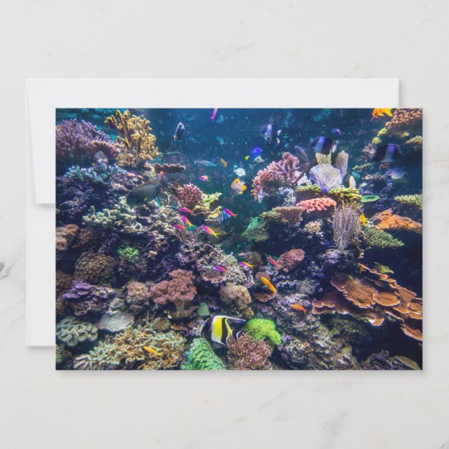 Tropical Beaches | Underwater Coral Reef Tack Kort (Framsida)