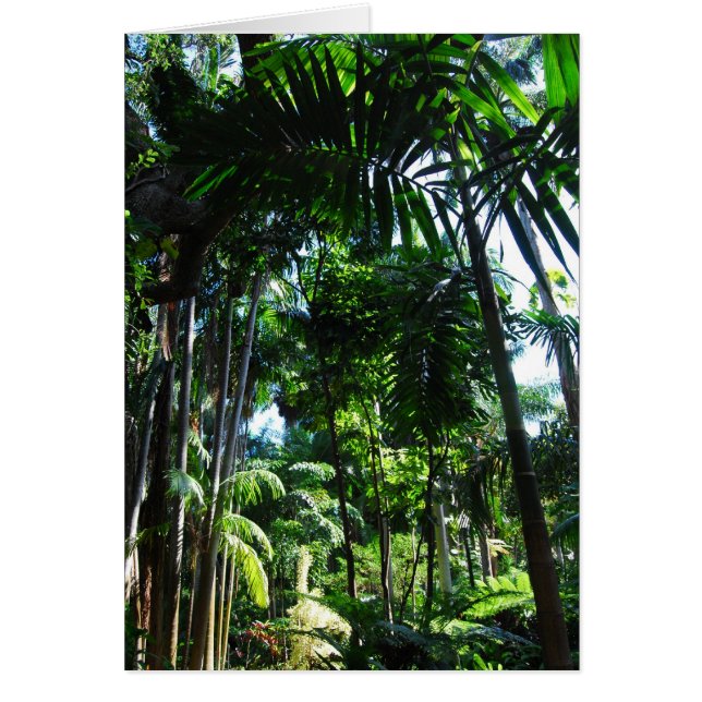 Tropical Beauty Hälsningskort (Framsidan)