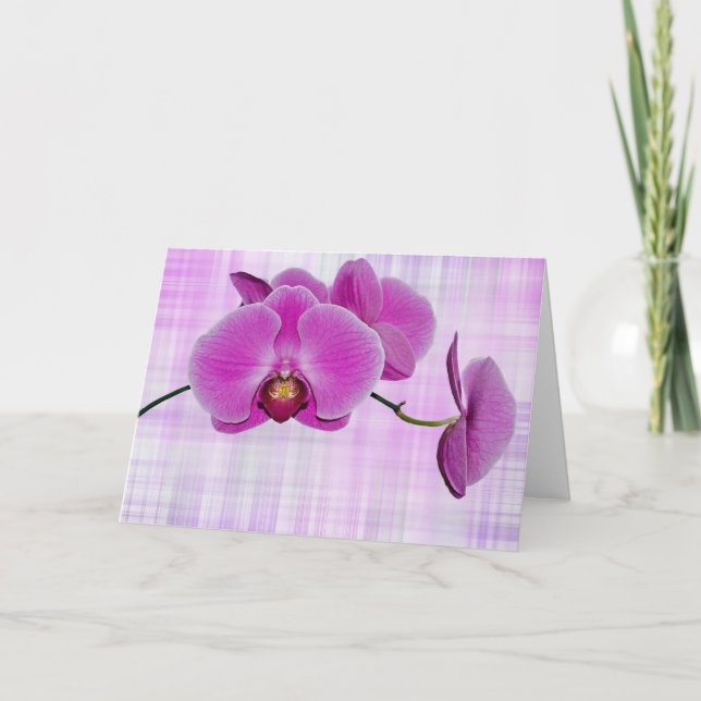 Tropical Beauty Kort (Framsida)