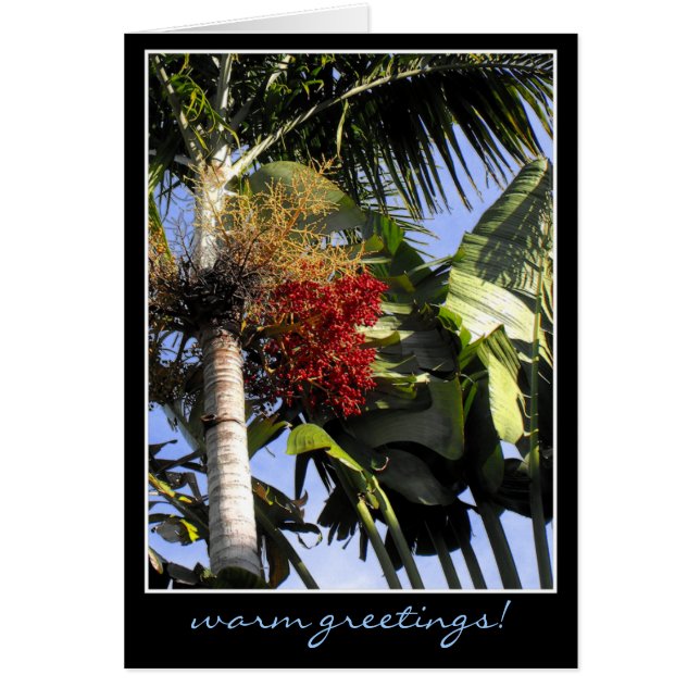 Tropical Breeze Hälsningskort (Framsidan)