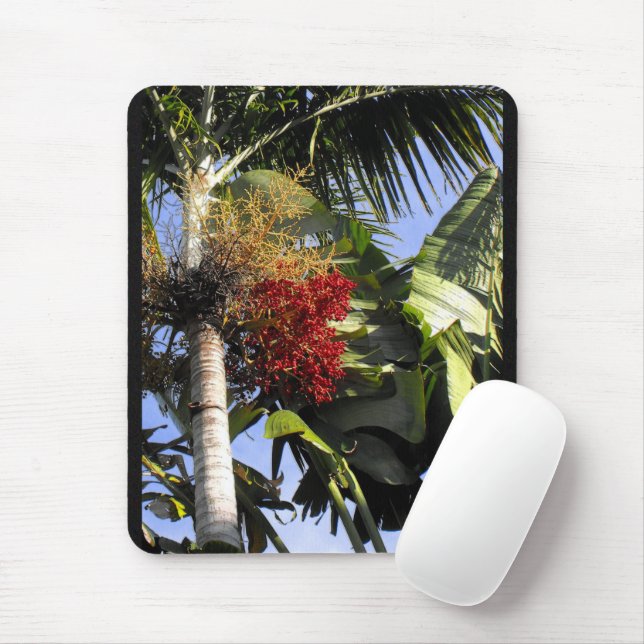 Tropical Breeze Musmatta (Med mus)