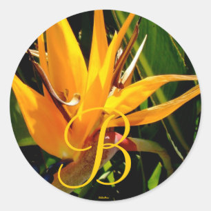 Tropical Bröllop Bird of Paradise Monogram B Seal Runt Klistermärke