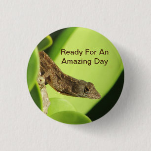 Tropical Brown Gecko Positivity fantastisk Day Knapp