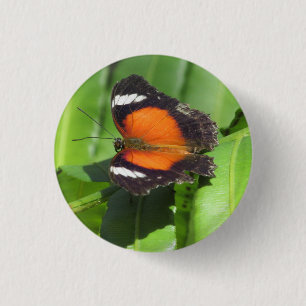 Tropical Butterfly Badge Knapp
