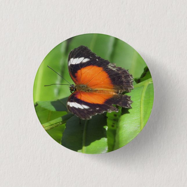 Tropical Butterfly Badge Knapp (Framsida)