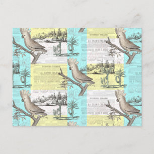 Tropical Cockatoo Dream Vykort