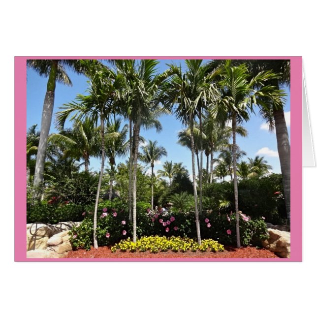 Tropical Coconut Plantation Bonita Vår Florida Hälsningskort (Framsidan Horizontal)