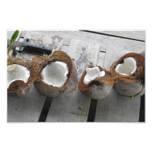 Tropical Coconuts, Bocas del Toro, Panama [Photo] Fototryck