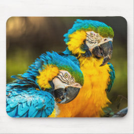 Tropical Companions Wildlife Photo Wall Art Print Musmatta