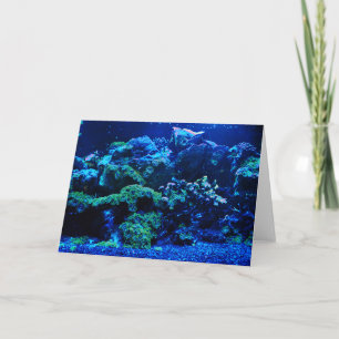 Tropical Coral Reef Kort