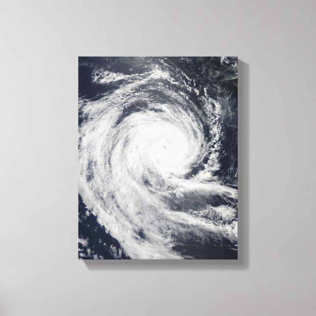 Tropical Cyclone Dianne Canvastryck (Framsida)