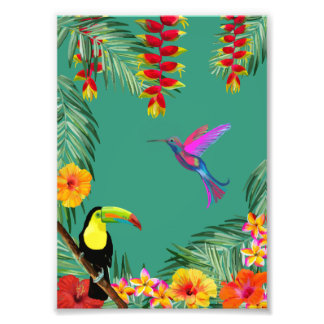 Tropical Delight hummingbird toucan flowers Fototryck