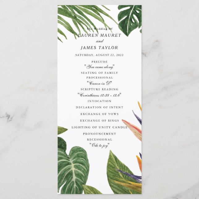 Tropical Dream Program (Framsida)