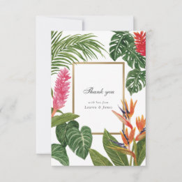 Tropical Dream Tack Kort