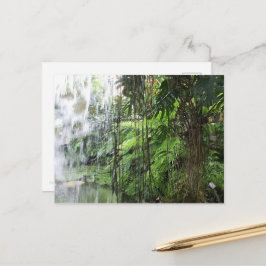 Tropical dream vykort
