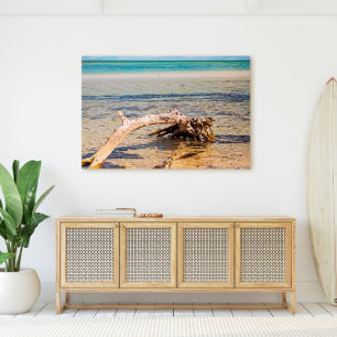 Tropical Driftwood Bahia Honda Beach Photo Canvastryck