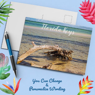 Tropical Driftwood Bahia Honda Beach Photo Vykort