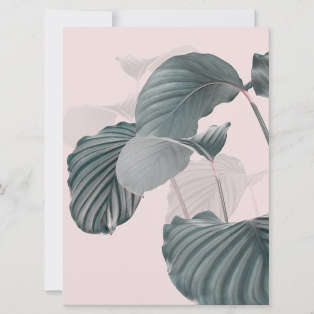Tropical Elegance in Pastel (Framsida)