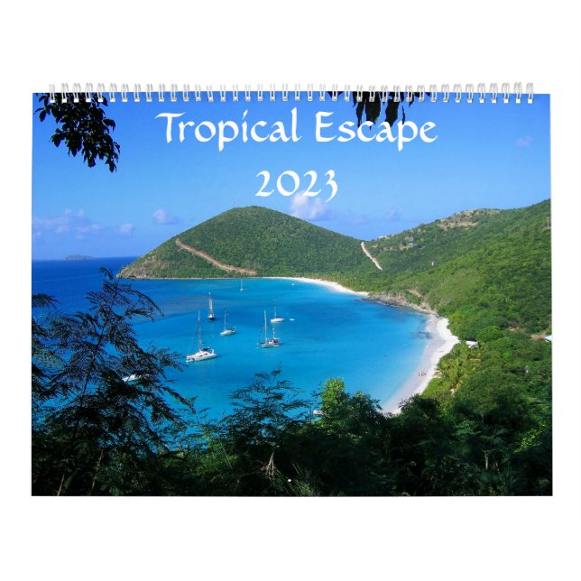Tropical Escape 2023 Calendar Kalender (Omslag)