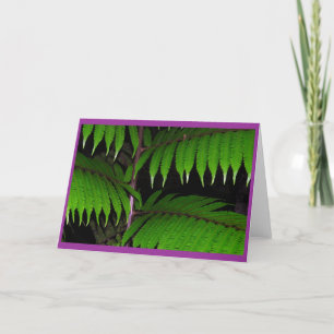Tropical Ferns Kort